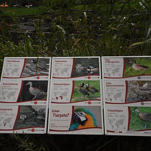 American flamingo aviary - signage