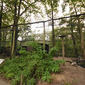 Sunda marabu aviary