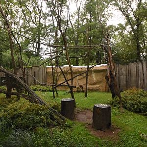Ring-tailed lemur enclosure