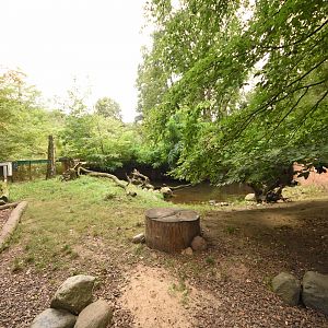 Small-clawed otter enclosure