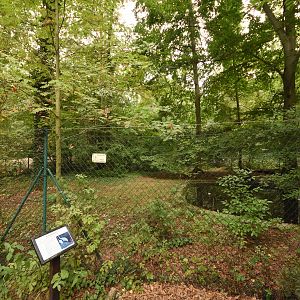 Sarus crane enclosure