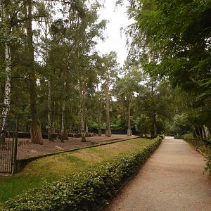 View on Banteng and Axis deer enclosure