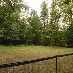 Hissar sheep paddock