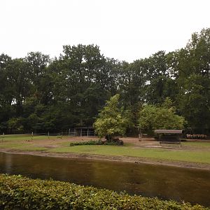 Przewalski wild horse paddock