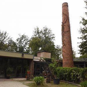 Cat house - Main entrance