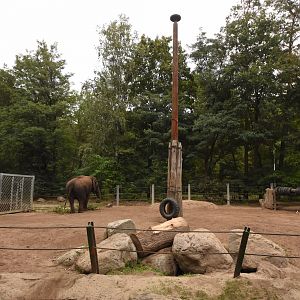 Asian elephant separation paddock
