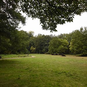 Red-necked wallaby walkthrough