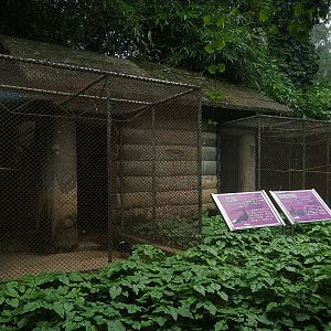 Pheasant Aviaries