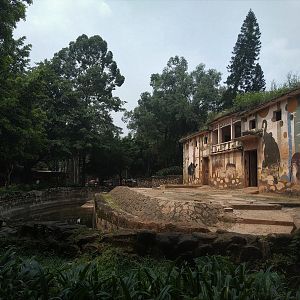 Elephant House - Old Yard