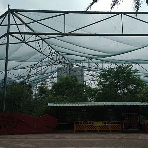 Giant Walkthrough Aviary (closed)