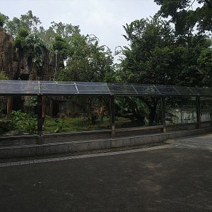 South China Tiger Exhibit