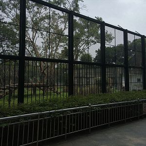 Tiger Exhibit