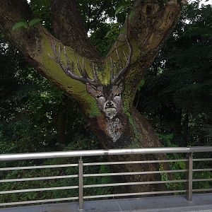 Stag Tree Art