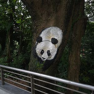Giant Panda Tree Art