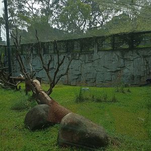 Black Panther Exhibit