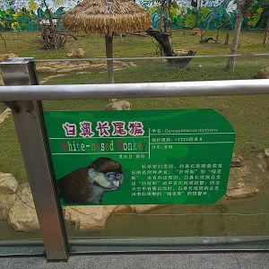 White-nosed Monkey Signage