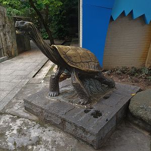 Tortoise Statue