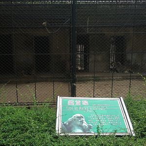 Bharal and Tibetan Macaque Cages