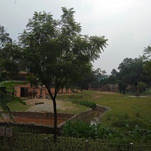 Elephant Paddock