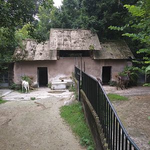 Addax and Waterbuck Exhibits