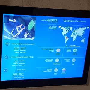 Sign with a big failure