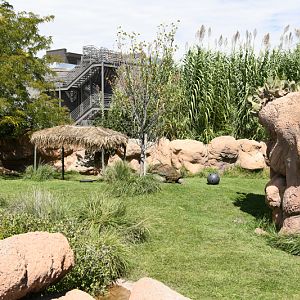 Aldabra tortoise exhibit (penguin building in background)