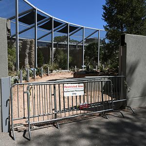 raptor aviary path construction