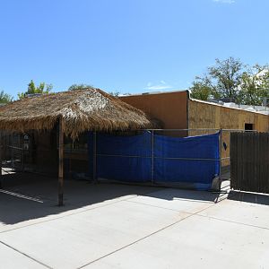 parrot aviary renovation