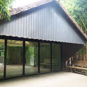 Pygmy hippopotamus house, 2019-08-11