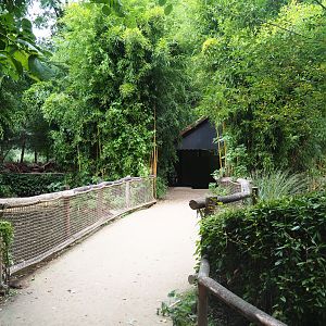 Pathway between Chilean flamingo and Pygmy hippo exhibits, 2019-08-11
