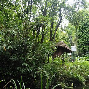 Red-faced spider monkey and Bolivian squirrel monkey island, 2019-08-11