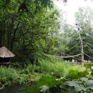 Red-faced spider monkey and Bolivian squirrel monkey island, 2019-08-11