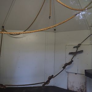 Red-faced spider monkey and Bolivian squirrel monkey indoor housing, 2019-08-11