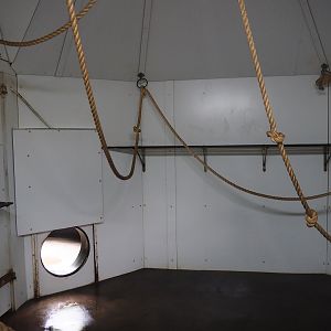 Red-faced spider monkey and Bolivian squirrel monkey indoor housing, 2019-08-11