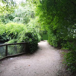 Pathway alongside Dalmatian pelican island, 2019-08-11