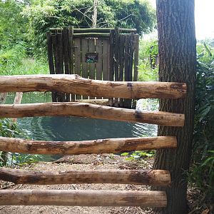 Closed-off and removed access to former lemur island, 2019-08-11