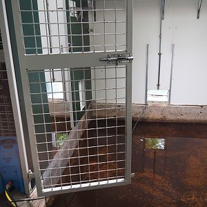 Flooded and empty former lemur house, 2019-08-11