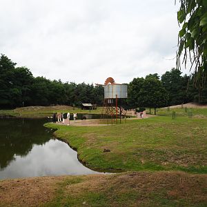 Australian Outback walk-through exhibit, 2019-08-11