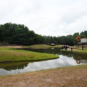 Australian Outback - Dromedary camel paddock and walk-through exhibit, 2019-08-11