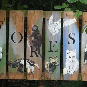 Painted sign forest section, 2019-08-11