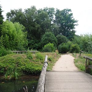 European white stork island walk-through exhibit, 2019-08-11
