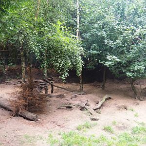 Arctic fox exhibit, 2019-08-11