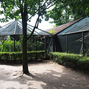 Small primate exhibits, 2019-08-11