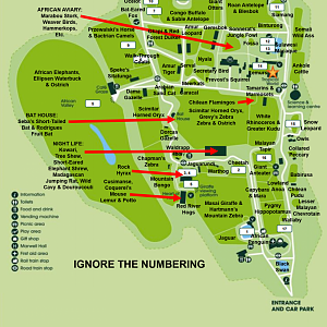 My Ideal Marwell Zoo Map