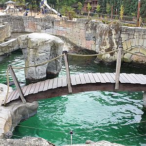 Part of South African fur seal enclosure