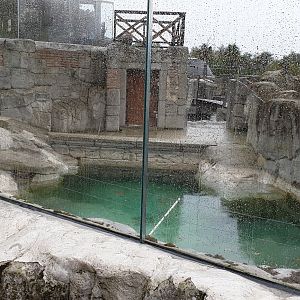 Second part of South African fur seal enclosure