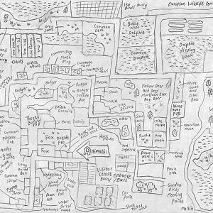 European Wildlife Centre