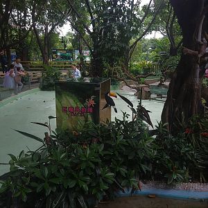 Meet The Birds Exhibit