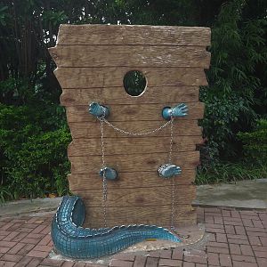 Crocodile-posing Interpretation