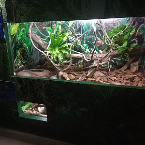 Boa Terrarium